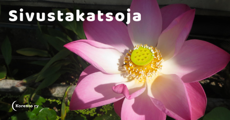 vaaleanpunainen kukka vihreällä alustalla